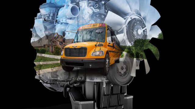 Saf T Liner DD5 C2 1