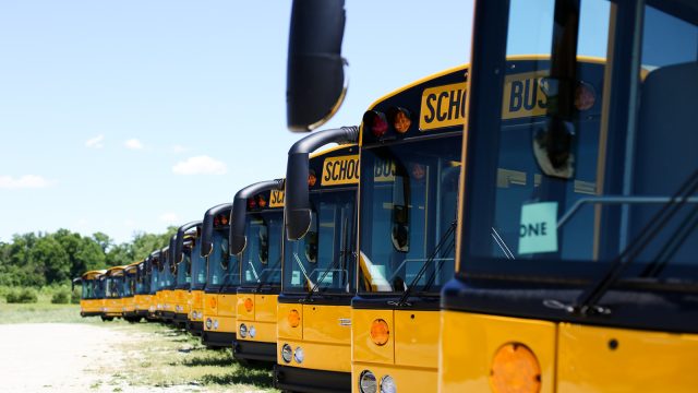 Kerlin bus sales 101 websize