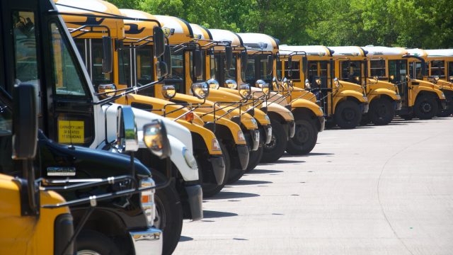 Dan dennis r FO Kf Hztu U8 unsplash