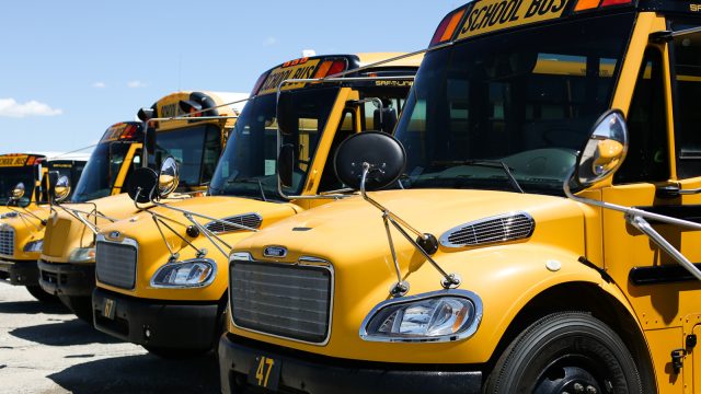 Kerlin bus sales 110 websize