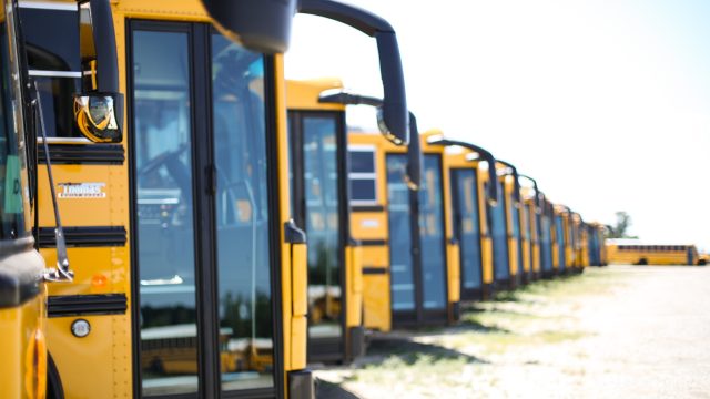 Kerlin bus sales 147