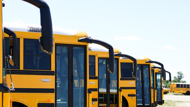 Kerlin bus sales 95 websize